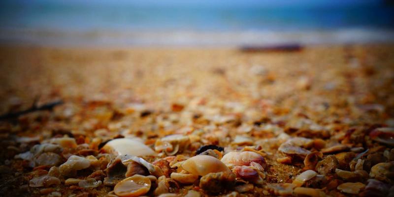 福州厨房焕新术:从收纳动线到定制美学,打造你的高效烹饪空间