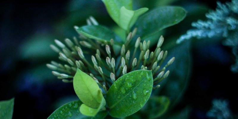 福州家居中央空调与新风系统安装避坑指南：如何与吊顶、灯光设计完美融合