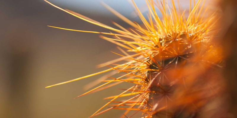 福州家居照明设计秘籍：用光影魔法点亮生活，让灯具与装饰画共舞