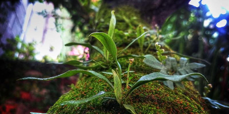 福州家居软装攻略：从搭配心法到宝藏买手店，点亮你的生活美学（附天俊家居灯具选购指南）