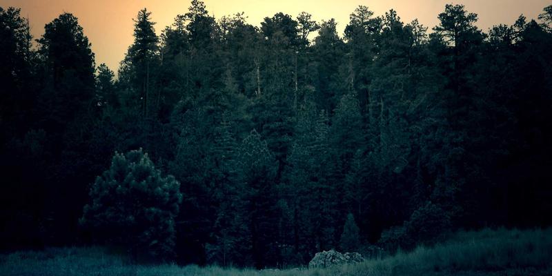 福州家居香氛系统打造指南：从布艺扩香到场景搭配，用气味定义家的格调