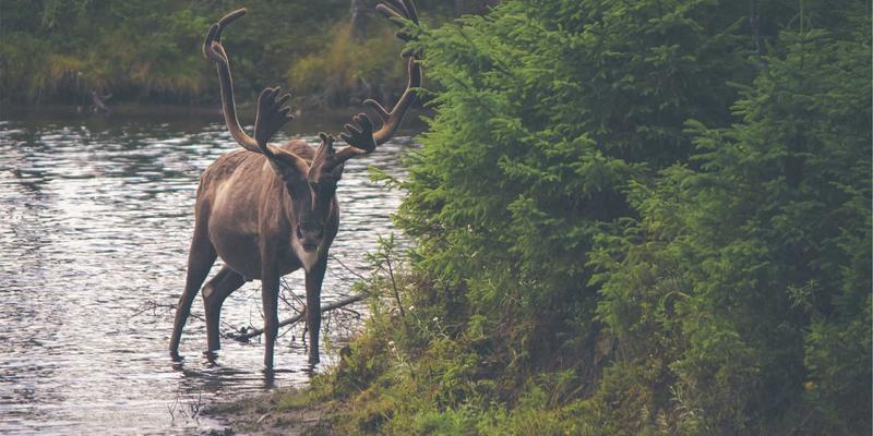 福州智能家居系统设计与安装全攻略：从入门到精通，打造未来感生活空间